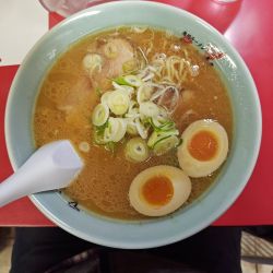 旭川醤油ラーメン+味玉  メンマ抜き