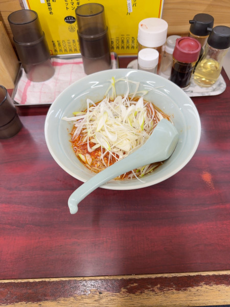 「タンタンメン　中辛　白髪ネギ　トッピング」@大公タンタンの写真
