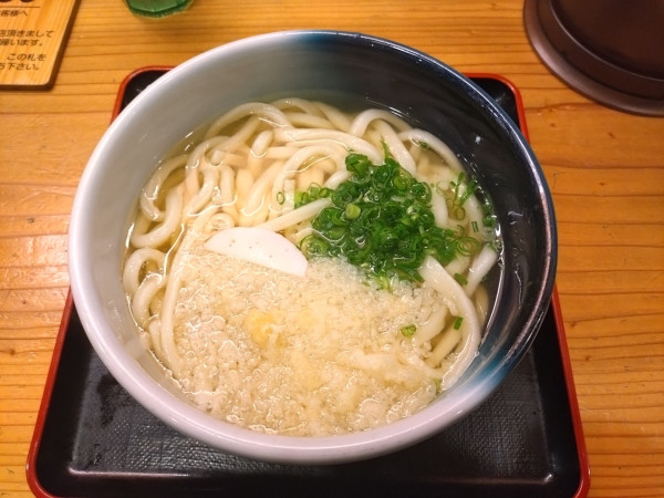 「かけうどん390円」@麺食酒房 大真うどんの写真