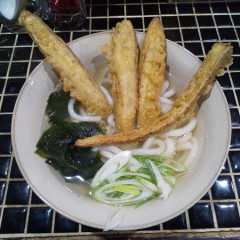 うどん でんぶの画像