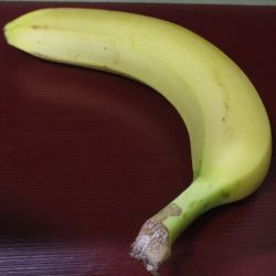 だるまや食堂の画像