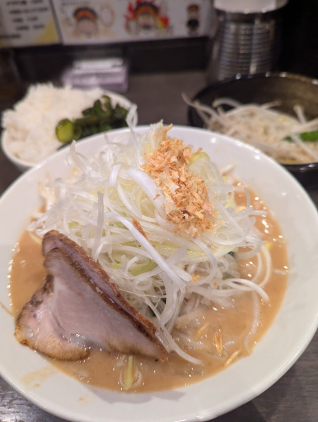 「味噌󠄀ラーメン+白髪ネギ+もやし炒め」@花木流味噌 日吉店の写真