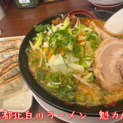 【期間限定】北海道濃厚味噌らぁめん(1078円)