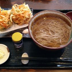 塩出汁かけそば＋野菜かき揚げ(2個)