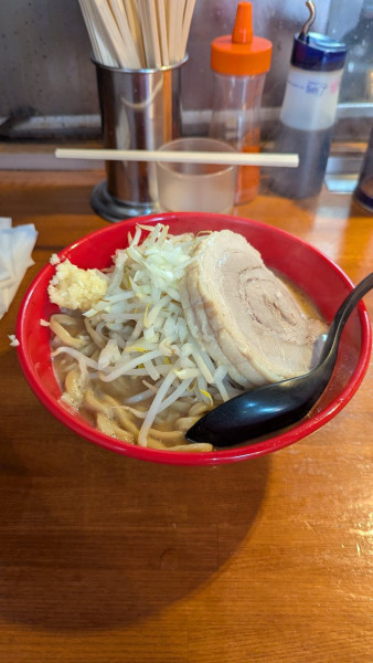 「ラーメン　野菜、ニンニク」@麺屋 もりのの写真