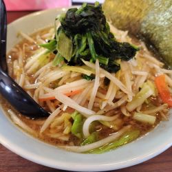 ８３１ラーメン　：太麺
