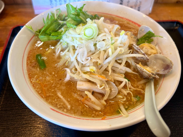 「みそラーメン(890¥)」@らぁ麺こうちゃんの写真