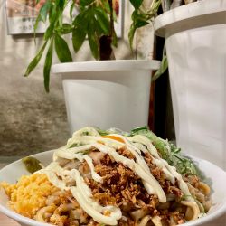 汁なし(麺450g)/ネギ