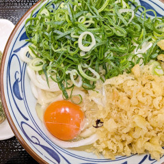 丸亀製麺 アトレ亀戸店の画像