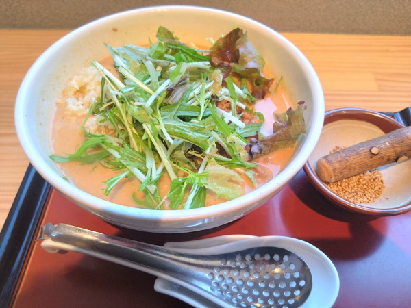 「野菜たっぷり担々麺」@担々麺 發巳の写真