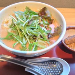 野菜たっぷり担々麺