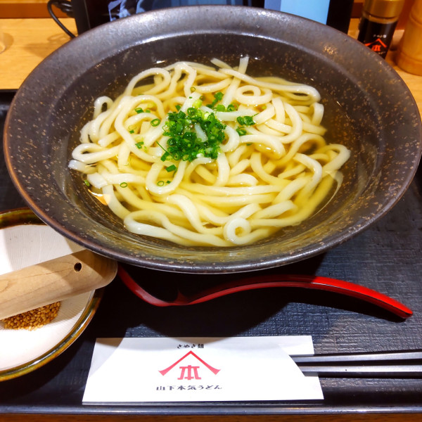 「かけ（￥790）」@山下本気うどん 川崎銀柳街の写真