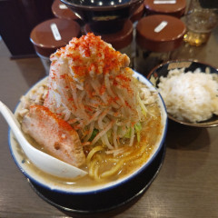 北海道らーめん 熊源の画像