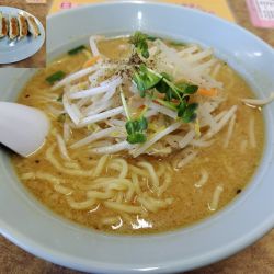 みそラーメン　＋餃子：サービス券