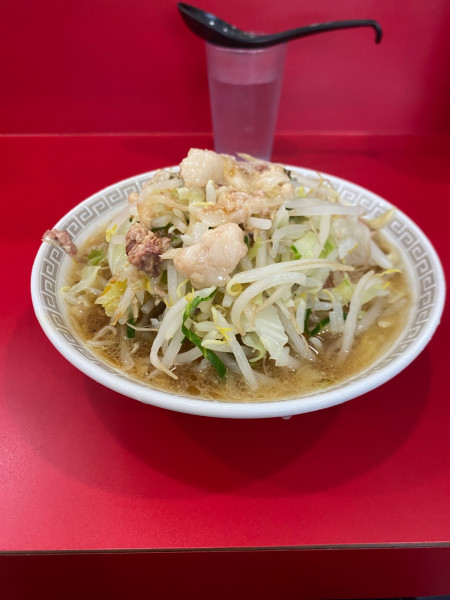 「ミニラーメン」@ラーメン二郎 生田駅前店の写真