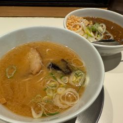 淡麗生味噌ラーメン（ミニ）＋淡麗だしカレー