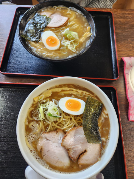 「濃厚中華そばと煮干しそば塩」@つけ麺 中華そば 佐とうの写真