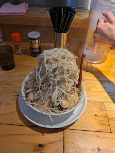 「チャーシュー麺野菜大盛り麺硬め濃いめニンニク入り」@麺屋 本日も晴天ですの写真