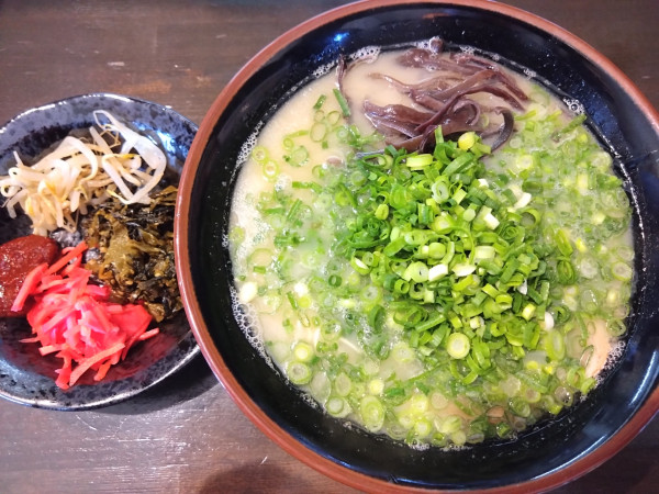 「博多ラーメンねぎのせ」@博多らーめん 麺屋 小鉄 日立店の写真