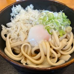 冷玉うどん　680円