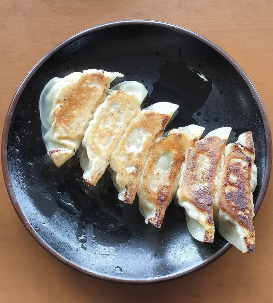 「焼き餃子 380円+税」@長楽 常滑店の写真