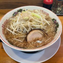 醤油ラーメン肉1枚