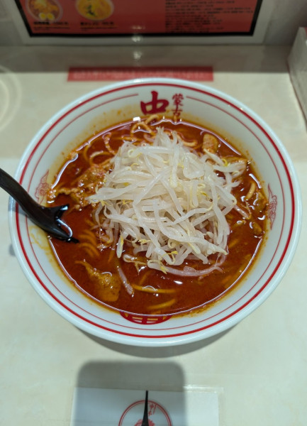 「北極ラーメン 9辛」@蒙古タンメン中本 宇都宮店の写真