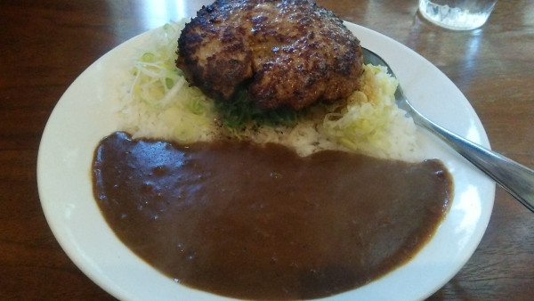 「手仕込みハンバーグカレー＋ライス小盛＋ねぎ」@Komi'zの写真