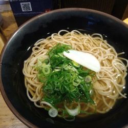 かけそば（五割そば）