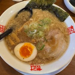 しょうゆとんこつ