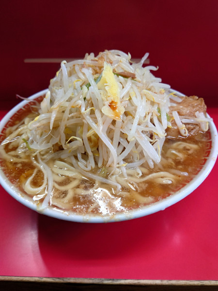 「大豚  野菜  ニンニク  カラメ」@ラーメン二郎 三田本店の写真
