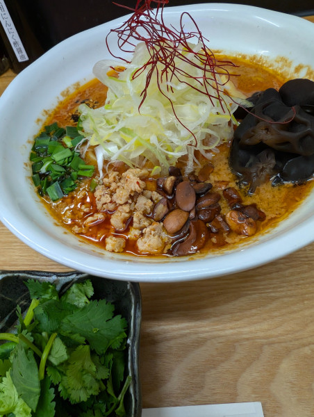 「種実担々麺・パクチー増し」@種実坦々麺菊川の写真
