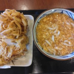 玉子あんかけ並550円野菜かき揚げ190円まいたけ天190円