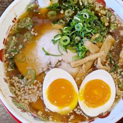 味付煮卵ラーメン（あっさり）