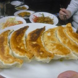 ジャンボ餃子（6ヶ）