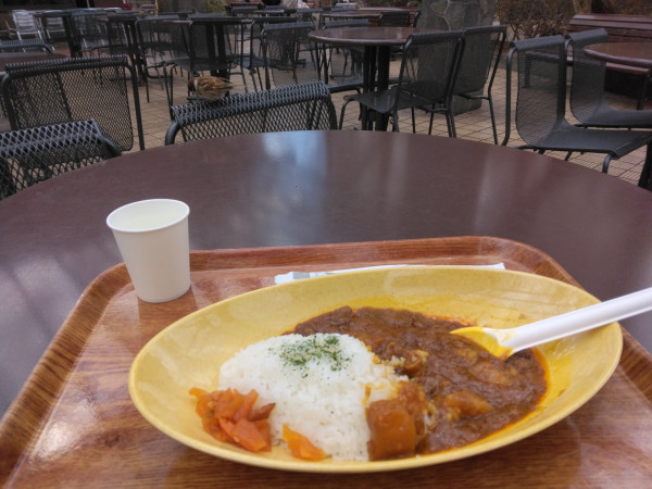 「動物園オリジナルビーフカレー880円」@上野動物園 西園食堂の写真