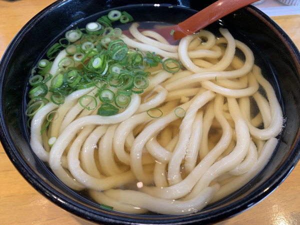 「かけうどん（温）大」@麺工房 どいちの写真