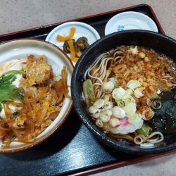 半たぬきそばと半かつ丼セット 1150円