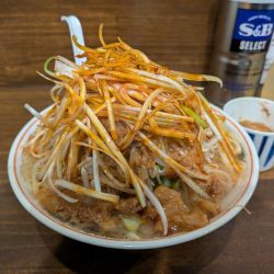 ラーメン（豚抜き）＋辛ネギ　1040円
