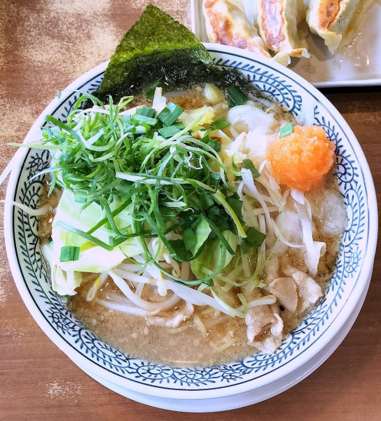 「野菜肉そば 860円＋税」@丸源ラーメン 大府店の写真