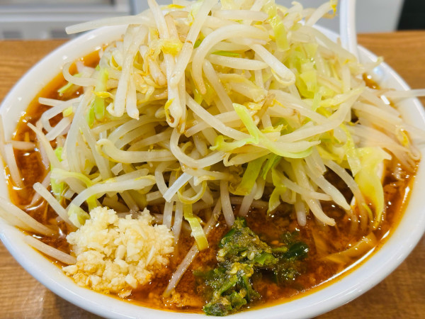 「太麺 味噌 1,500円 アオトウ 100円」@のスたの写真