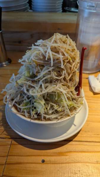 「ラーメン野菜大盛」@麺屋 本日も晴天ですの写真