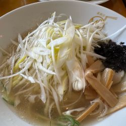 ミネラルたっぷり塩らぁめん1000円+ネギ増し150円