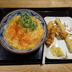 玉子あんかけ 大（730円）＋ごぼう天＆かしわ天（320円）