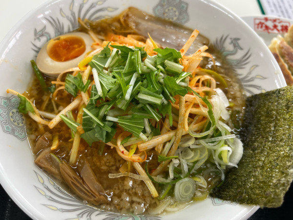 「ネギガキ大将ラーメン」@ラーメンガキ大将 谷田部店の写真