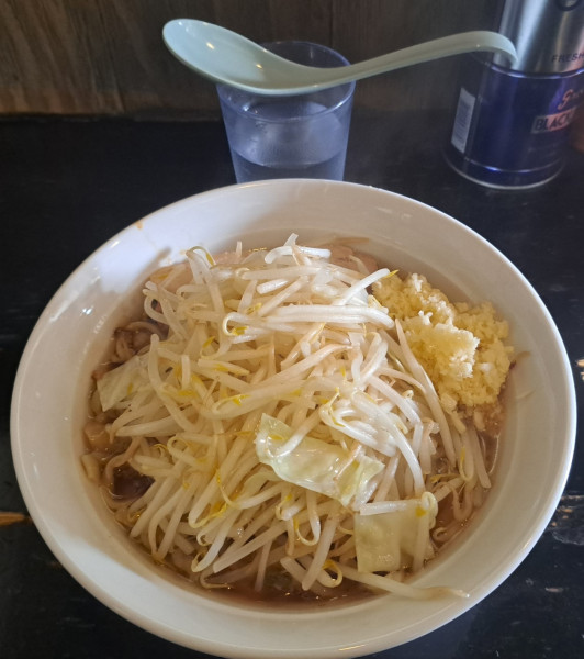 「醤油Ⅰ型並　ニンニクマシマシ930円」@踊ろうサンダーバードの写真