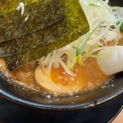 豚骨魚介ラーメン