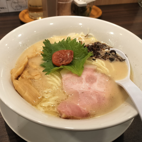 「特濃 鶏白湯麺」@超濃厚鶏白湯ラーメン専門店 自家製麺 鶏ふじの写真