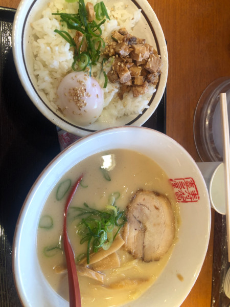 「白ラーメン チャーシュー丼」@寿がきや 大曽根キャッスル店の写真