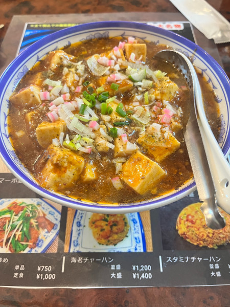 「麻婆麺」@ガチ麻婆 三咲店の写真